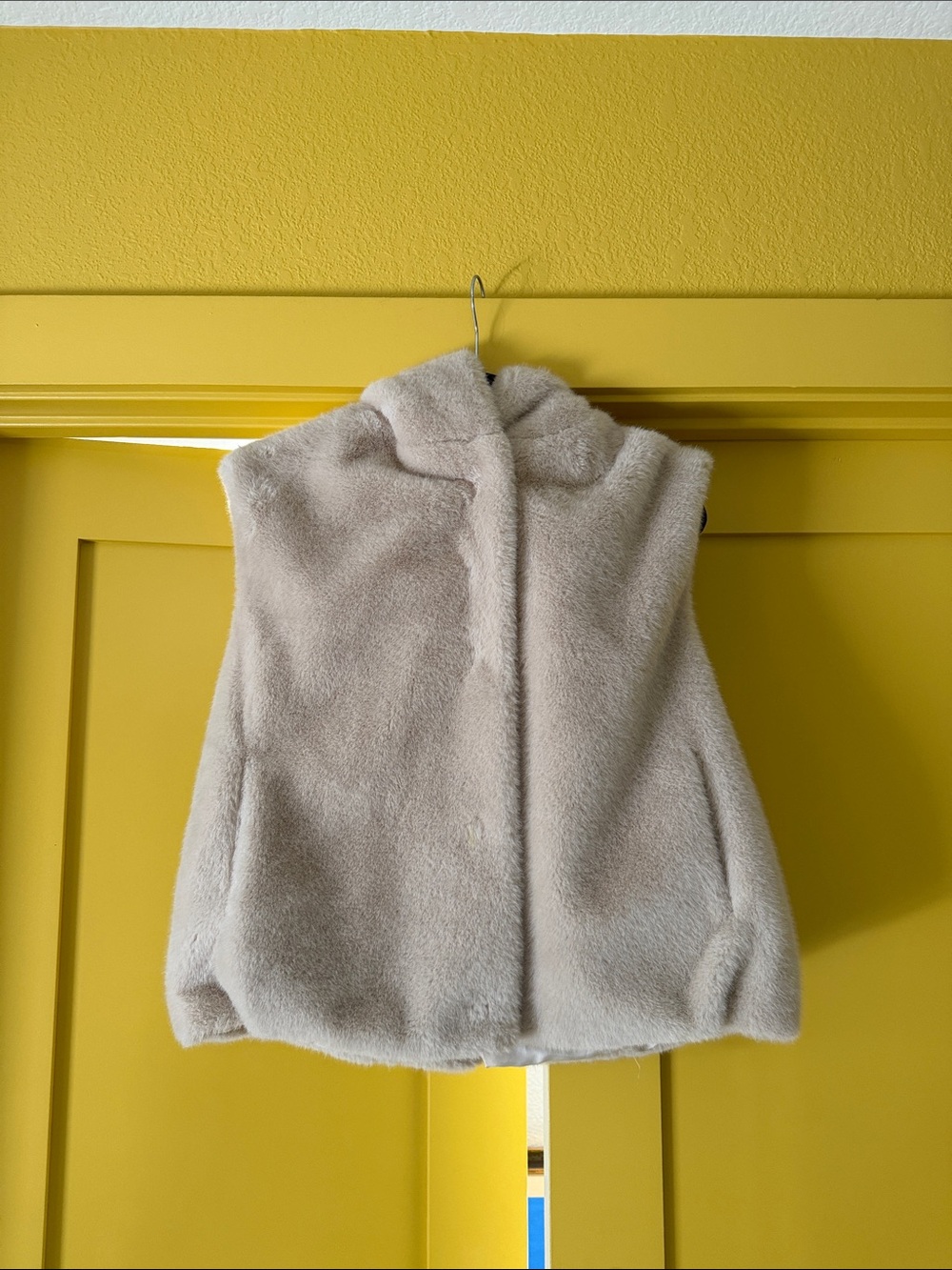 Cozy Faux Fur Sleeveless Vest - Light Beige